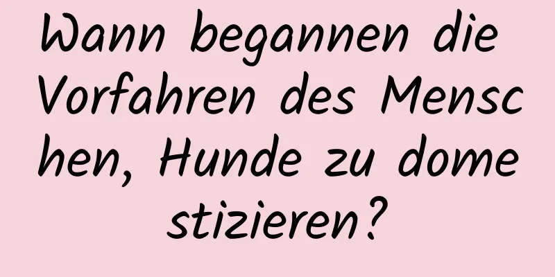 Wann begannen die Vorfahren des Menschen, Hunde zu domestizieren?