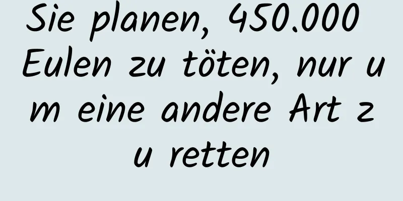 Sie planen, 450.000 Eulen zu töten, nur um eine andere Art zu retten