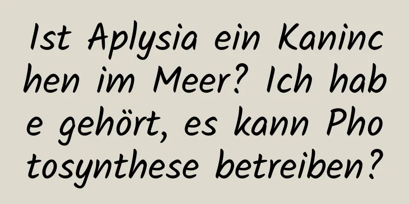 Ist Aplysia ein Kaninchen im Meer? Ich habe gehört, es kann Photosynthese betreiben?