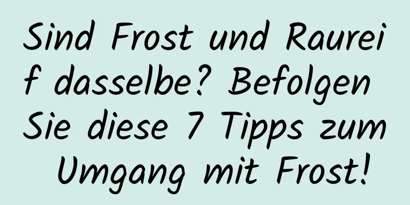 Sind Frost und Raureif dasselbe? Befolgen Sie diese 7 Tipps zum Umgang mit Frost!