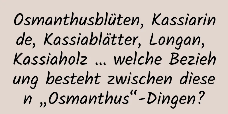 Osmanthusblüten, Kassiarinde, Kassiablätter, Longan, Kassiaholz ... welche Beziehung besteht zwischen diesen „Osmanthus“-Dingen?