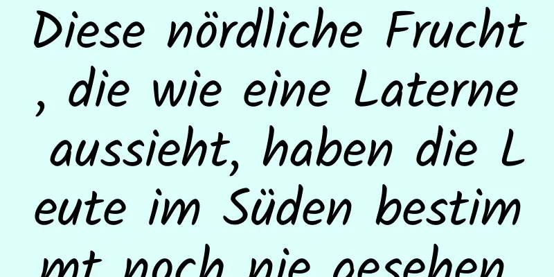 Diese nördliche Frucht, die wie eine Laterne aussieht, haben die Leute im Süden bestimmt noch nie gesehen.