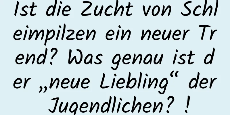 Ist die Zucht von Schleimpilzen ein neuer Trend? Was genau ist der „neue Liebling“ der Jugendlichen? !
