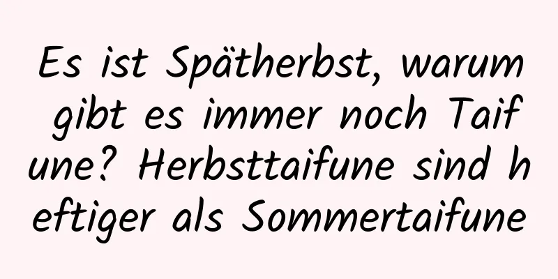 Es ist Spätherbst, warum gibt es immer noch Taifune? Herbsttaifune sind heftiger als Sommertaifune