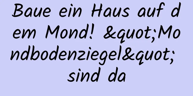 Baue ein Haus auf dem Mond! "Mondbodenziegel" sind da