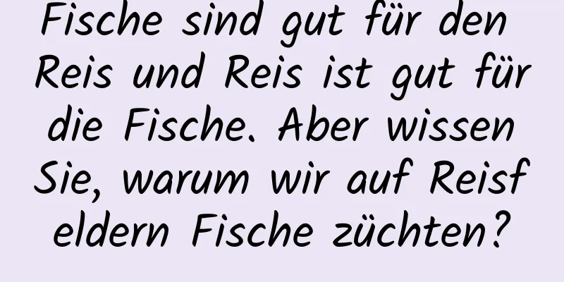 Fische sind gut für den Reis und Reis ist gut für die Fische. Aber wissen Sie, warum wir auf Reisfeldern Fische züchten?