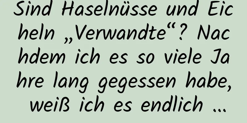 Sind Haselnüsse und Eicheln „Verwandte“? Nachdem ich es so viele Jahre lang gegessen habe, weiß ich es endlich ...