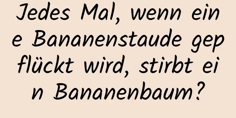 Jedes Mal, wenn eine Bananenstaude gepflückt wird, stirbt ein Bananenbaum?