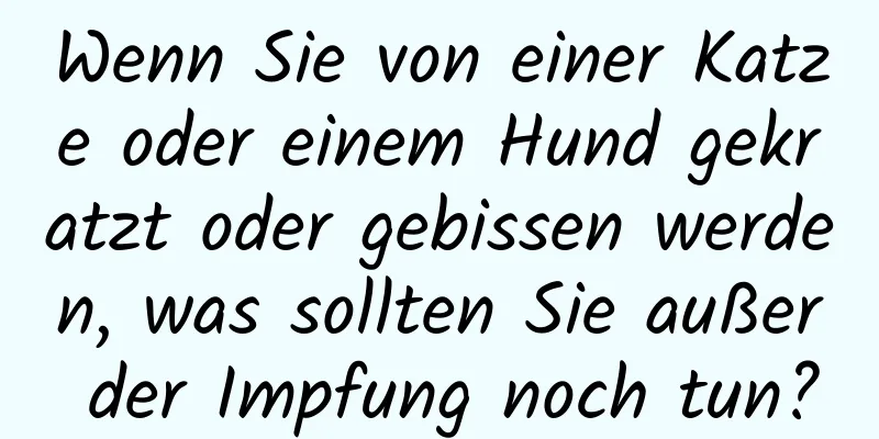 Wenn Sie von einer Katze oder einem Hund gekratzt oder gebissen werden, was sollten Sie außer der Impfung noch tun?