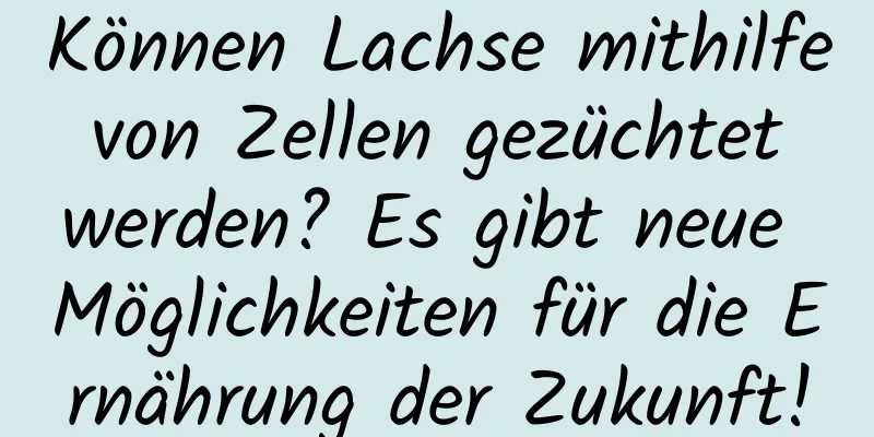 Können Lachse mithilfe von Zellen gezüchtet werden? Es gibt neue Möglichkeiten für die Ernährung der Zukunft!