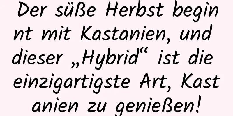 Der süße Herbst beginnt mit Kastanien, und dieser „Hybrid“ ist die einzigartigste Art, Kastanien zu genießen!