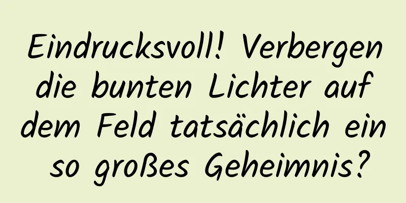 Eindrucksvoll! Verbergen die bunten Lichter auf dem Feld tatsächlich ein so großes Geheimnis?
