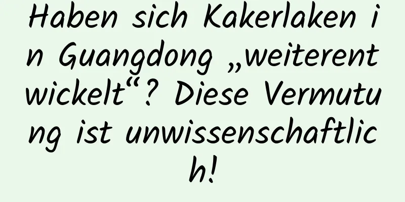 Haben sich Kakerlaken in Guangdong „weiterentwickelt“? Diese Vermutung ist unwissenschaftlich!