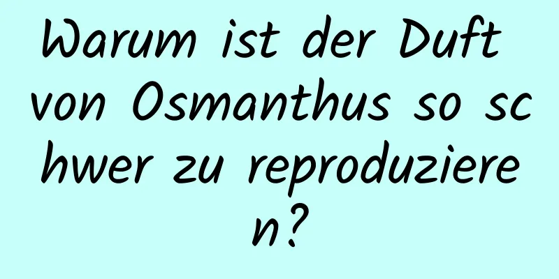 Warum ist der Duft von Osmanthus so schwer zu reproduzieren?