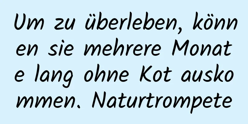 Um zu überleben, können sie mehrere Monate lang ohne Kot auskommen. Naturtrompete