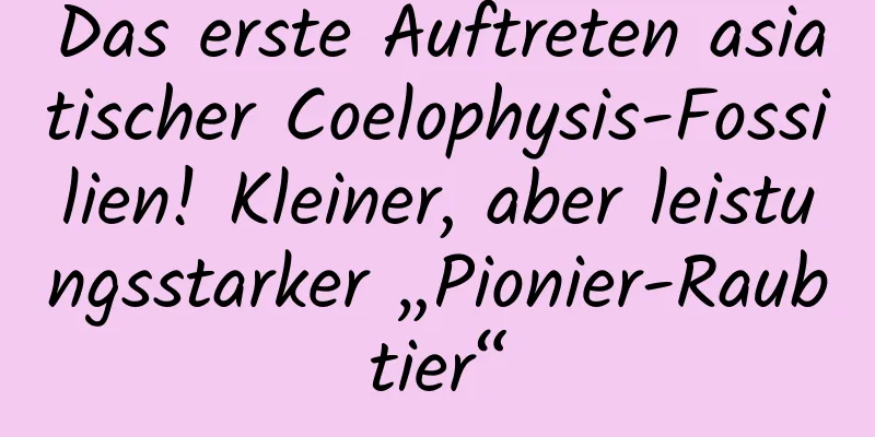 Das erste Auftreten asiatischer Coelophysis-Fossilien! Kleiner, aber leistungsstarker „Pionier-Raubtier“
