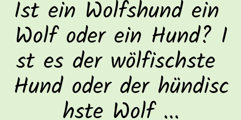 Ist ein Wolfshund ein Wolf oder ein Hund? Ist es der wölfischste Hund oder der hündischste Wolf ...