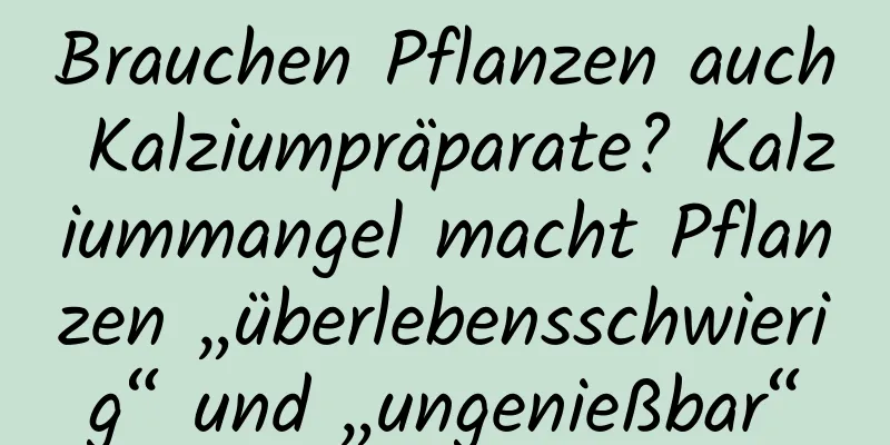 Brauchen Pflanzen auch Kalziumpräparate? Kalziummangel macht Pflanzen „überlebensschwierig“ und „ungenießbar“