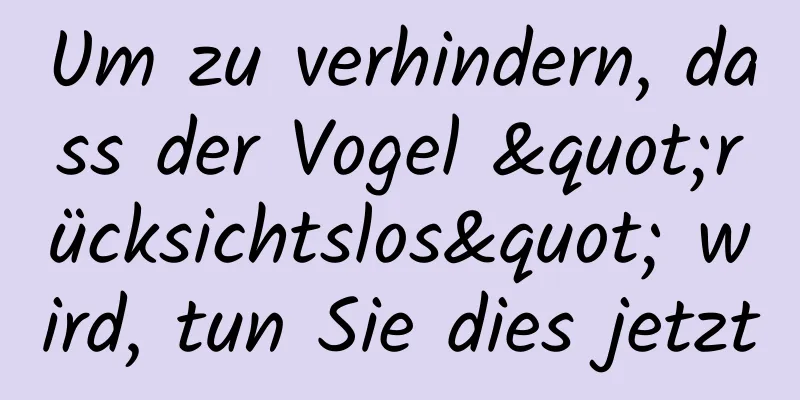 Um zu verhindern, dass der Vogel "rücksichtslos" wird, tun Sie dies jetzt