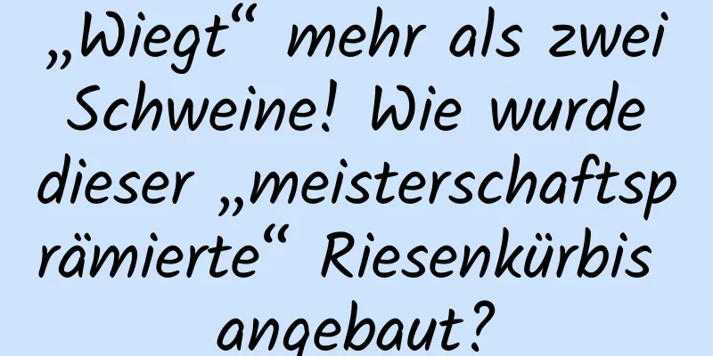 „Wiegt“ mehr als zwei Schweine! Wie wurde dieser „meisterschaftsprämierte“ Riesenkürbis angebaut?