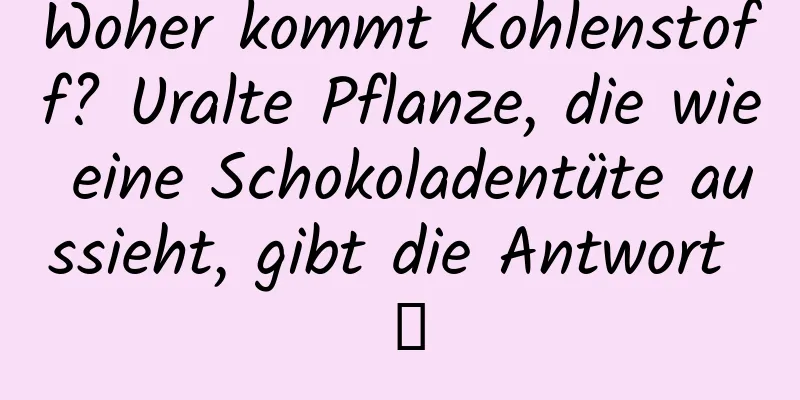 Woher kommt Kohlenstoff? Uralte Pflanze, die wie eine Schokoladentüte aussieht, gibt die Antwort →