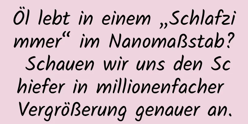 Öl lebt in einem „Schlafzimmer“ im Nanomaßstab? Schauen wir uns den Schiefer in millionenfacher Vergrößerung genauer an.