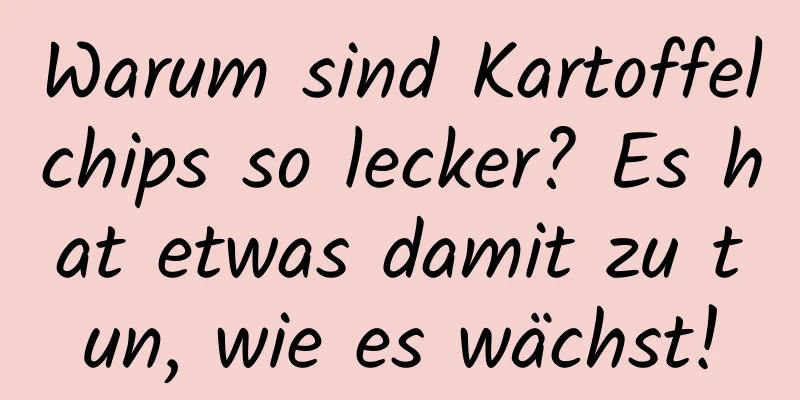 Warum sind Kartoffelchips so lecker? Es hat etwas damit zu tun, wie es wächst!