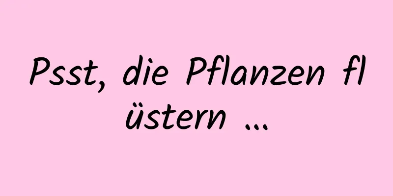 Psst, die Pflanzen flüstern …