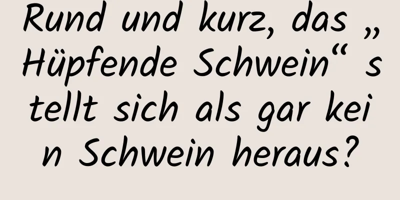Rund und kurz, das „Hüpfende Schwein“ stellt sich als gar kein Schwein heraus?
