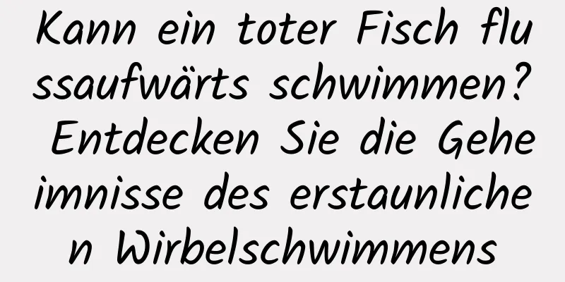Kann ein toter Fisch flussaufwärts schwimmen? Entdecken Sie die Geheimnisse des erstaunlichen Wirbelschwimmens