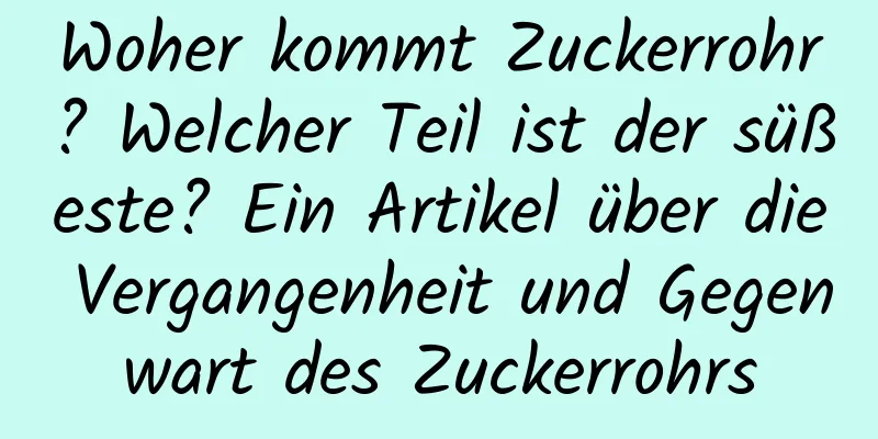 Woher kommt Zuckerrohr? Welcher Teil ist der süßeste? Ein Artikel über die Vergangenheit und Gegenwart des Zuckerrohrs