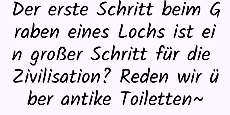 Der erste Schritt beim Graben eines Lochs ist ein großer Schritt für die Zivilisation? Reden wir über antike Toiletten~