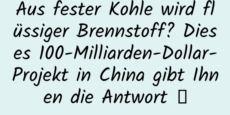 Aus fester Kohle wird flüssiger Brennstoff? Dieses 100-Milliarden-Dollar-Projekt in China gibt Ihnen die Antwort →