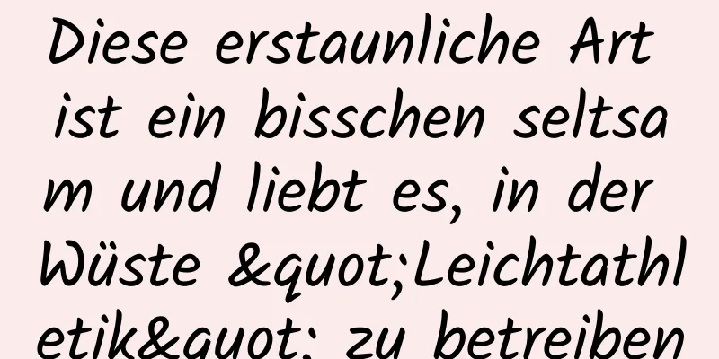 Diese erstaunliche Art ist ein bisschen seltsam und liebt es, in der Wüste "Leichtathletik" zu betreiben