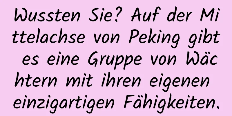 Wussten Sie? Auf der Mittelachse von Peking gibt es eine Gruppe von Wächtern mit ihren eigenen einzigartigen Fähigkeiten.