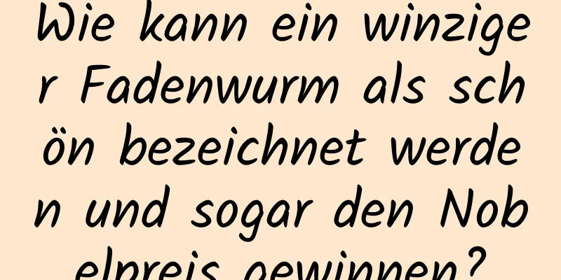 Wie kann ein winziger Fadenwurm als schön bezeichnet werden und sogar den Nobelpreis gewinnen?