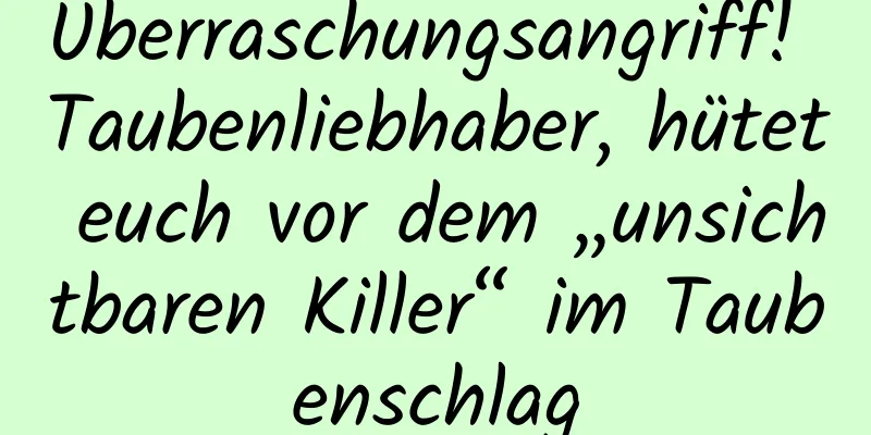 Überraschungsangriff! Taubenliebhaber, hütet euch vor dem „unsichtbaren Killer“ im Taubenschlag