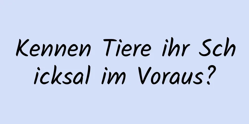 Kennen Tiere ihr Schicksal im Voraus?
