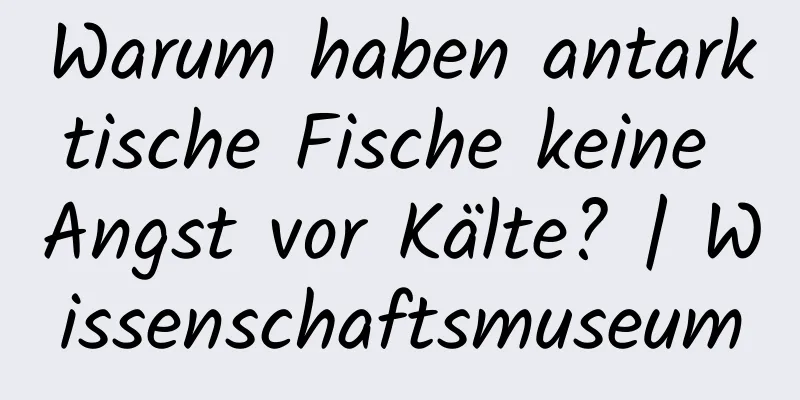 Warum haben antarktische Fische keine Angst vor Kälte? | Wissenschaftsmuseum