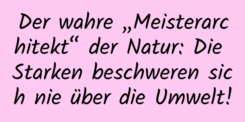Der wahre „Meisterarchitekt“ der Natur: Die Starken beschweren sich nie über die Umwelt!