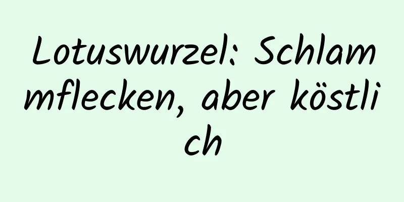 Lotuswurzel: Schlammflecken, aber köstlich