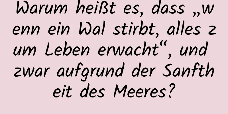 Warum heißt es, dass „wenn ein Wal stirbt, alles zum Leben erwacht“, und zwar aufgrund der Sanftheit des Meeres?