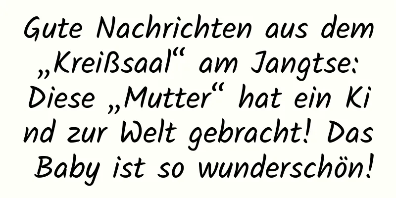 Gute Nachrichten aus dem „Kreißsaal“ am Jangtse: Diese „Mutter“ hat ein Kind zur Welt gebracht! Das Baby ist so wunderschön!