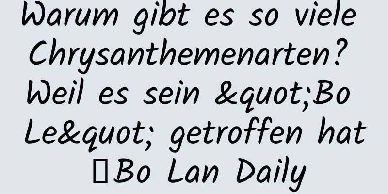 Warum gibt es so viele Chrysanthemenarten? Weil es sein "Bo Le" getroffen hat｜Bo Lan Daily