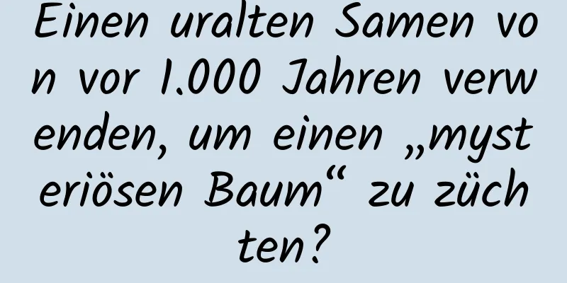 Einen uralten Samen von vor 1.000 Jahren verwenden, um einen „mysteriösen Baum“ zu züchten?