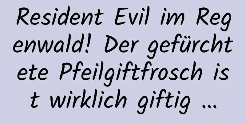 Resident Evil im Regenwald! Der gefürchtete Pfeilgiftfrosch ist wirklich giftig …