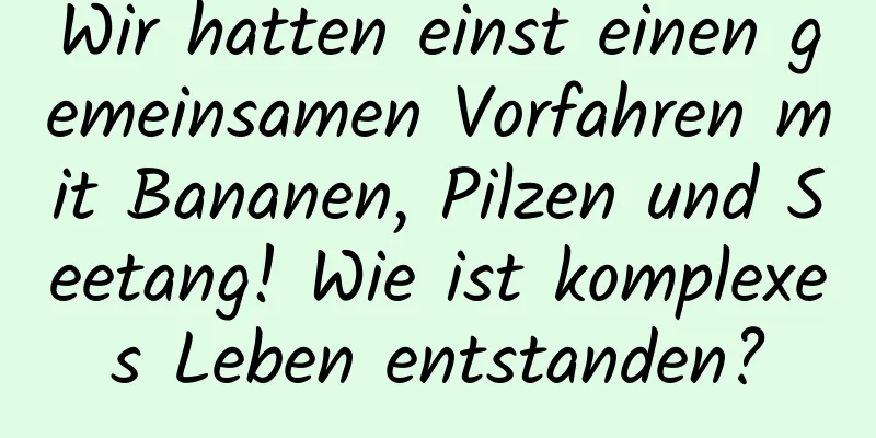 Wir hatten einst einen gemeinsamen Vorfahren mit Bananen, Pilzen und Seetang! Wie ist komplexes Leben entstanden?