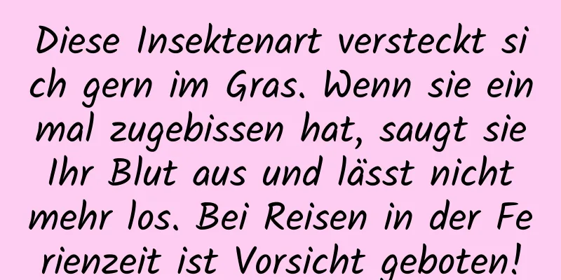 Diese Insektenart versteckt sich gern im Gras. Wenn sie einmal zugebissen hat, saugt sie Ihr Blut aus und lässt nicht mehr los. Bei Reisen in der Ferienzeit ist Vorsicht geboten!