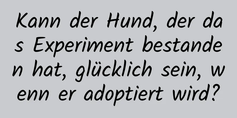 Kann der Hund, der das Experiment bestanden hat, glücklich sein, wenn er adoptiert wird?