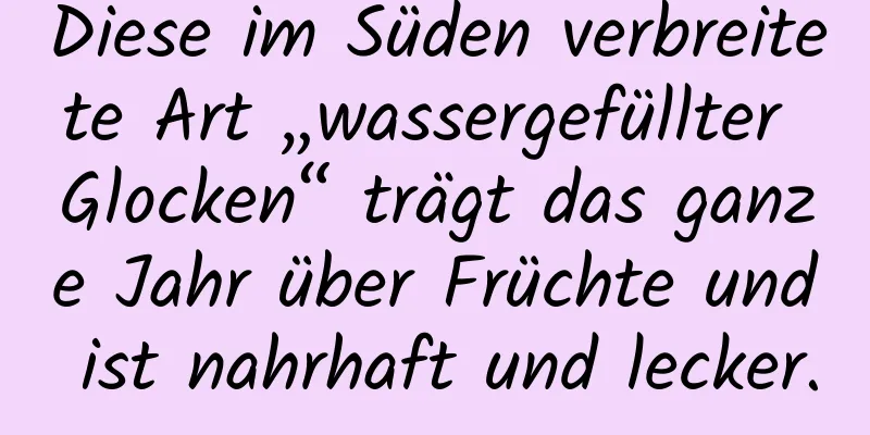 Diese im Süden verbreitete Art „wassergefüllter Glocken“ trägt das ganze Jahr über Früchte und ist nahrhaft und lecker.